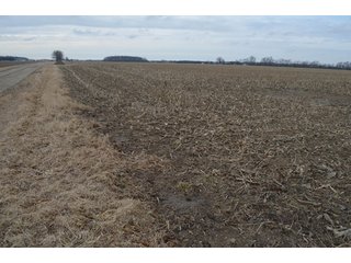 Property photo 42 - 173 +/- Acres Offered in 3 Tracts - Ohio Farmland